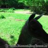 2011-05-01 14.16.36